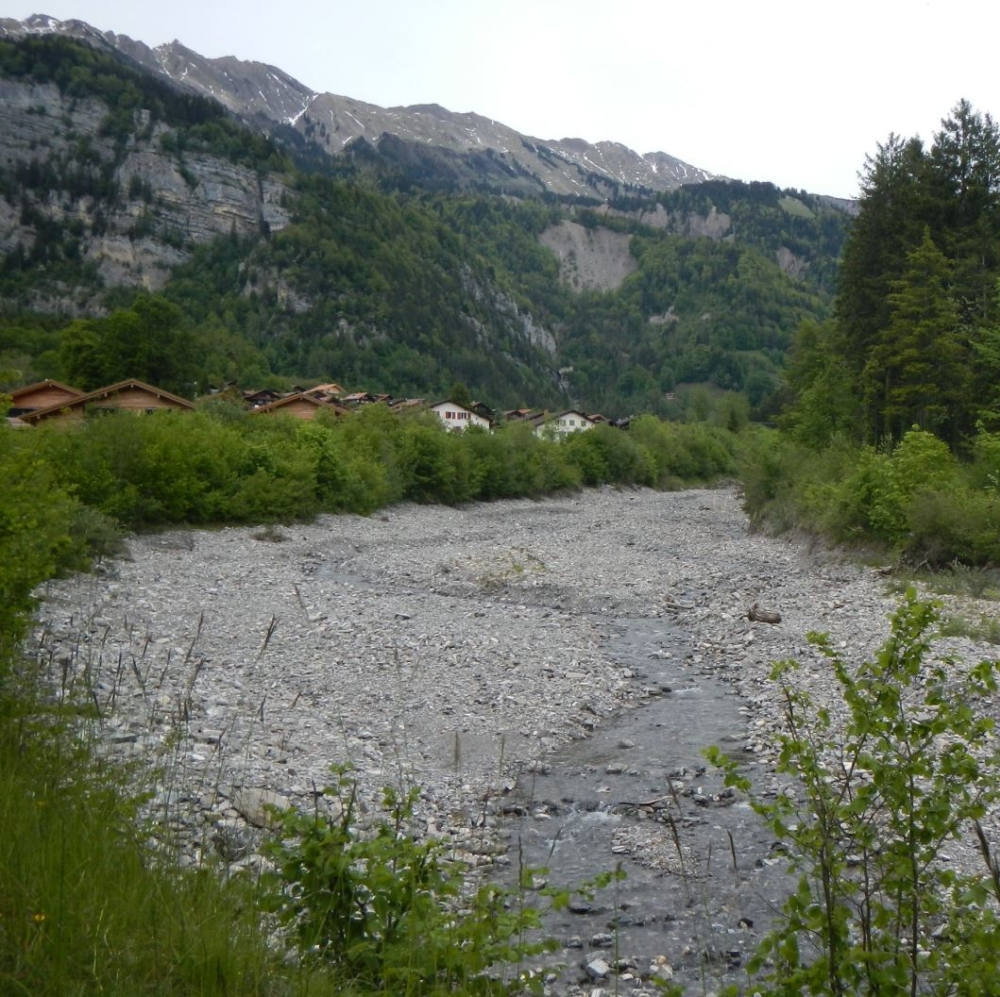 HWS Lamm- und Schwanderbach Thumbnail