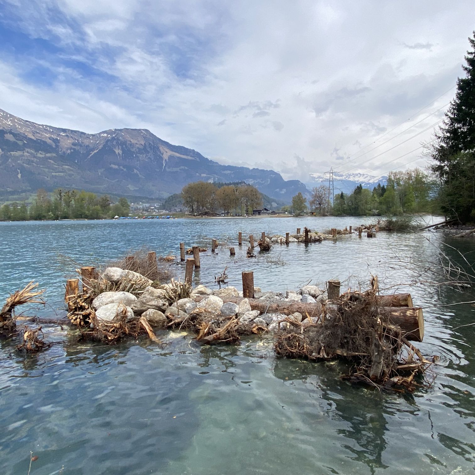 Holzriff Brienzersee Thumbnail