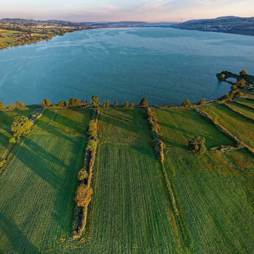 Schlichti Sempachersee Thumbnail