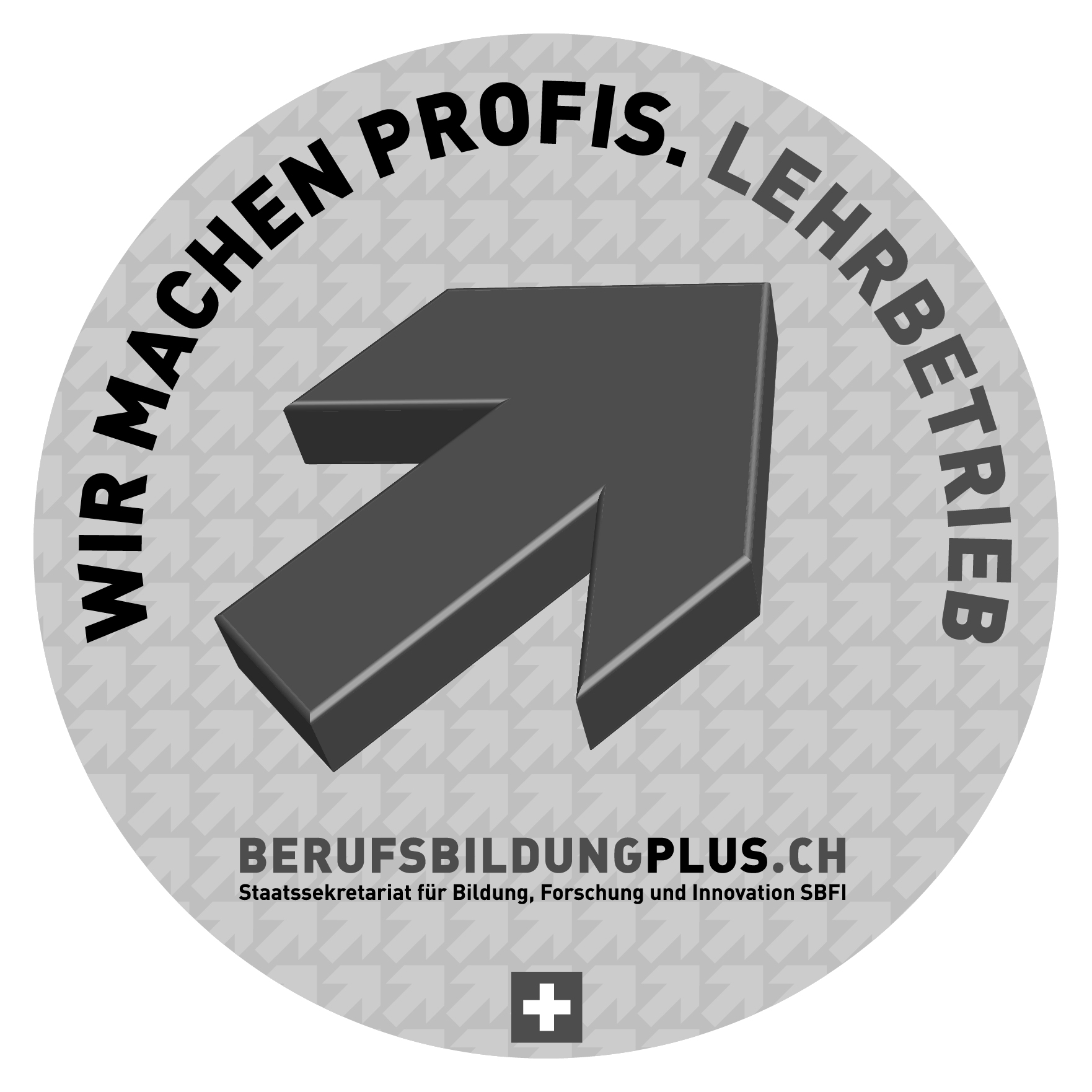 Logo "Wir machen Profis" SBFI