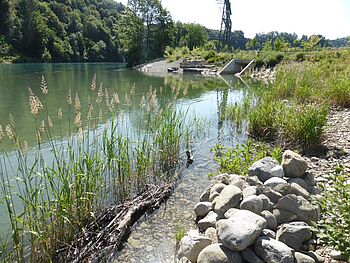 Aarelandschaft Muehleberg 006