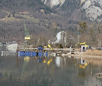 Holzriff Brienzersee 011