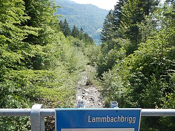 HWS Lamm- und Schwanderbach 002