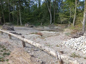 Alte Aare: Tümpel und Steinhaufen für Amphibien