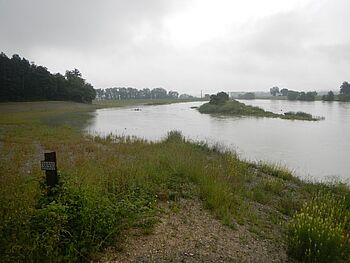 Sanierung Hagneckkanal 002