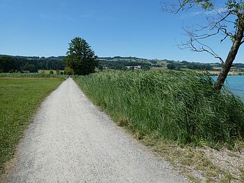 Schlichti Sempachersee 005