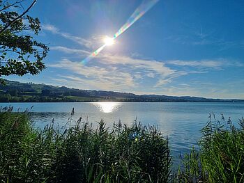 Schlichti Sempachersee 008