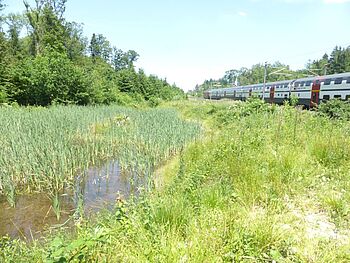 SBB EK NBS Mattstetten-Rothrist 009