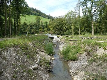 Dotierkraftwerk Schoenenwerd 008